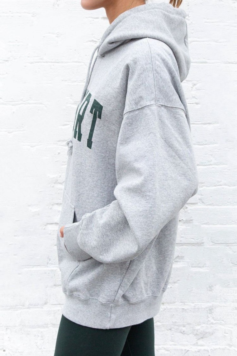 Sweat a Capuche Brandy Melville Christy Newport Grise | VPM-57947417